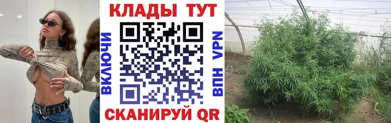 Наркота Грозный МЕТАМФЕТАМИН  ГАШИШ  Галлюциногенные грибы  КОКАИН  Марихуана  APVP 