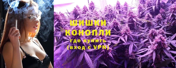 PSILOCYBIN Богородск