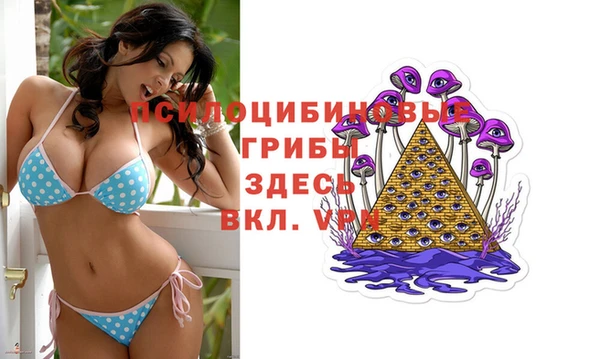 СК Богданович