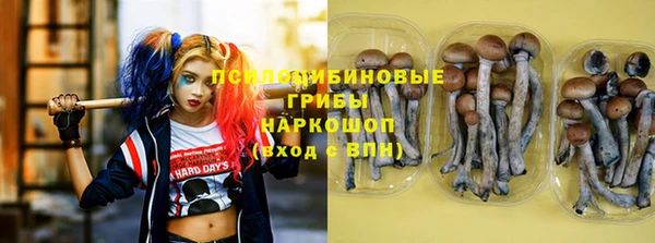 СК Богданович