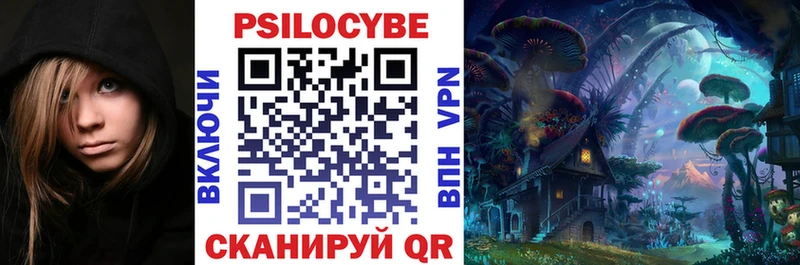 где купить наркоту  Грозный  Галлюциногенные грибы Psilocybine cubensis 